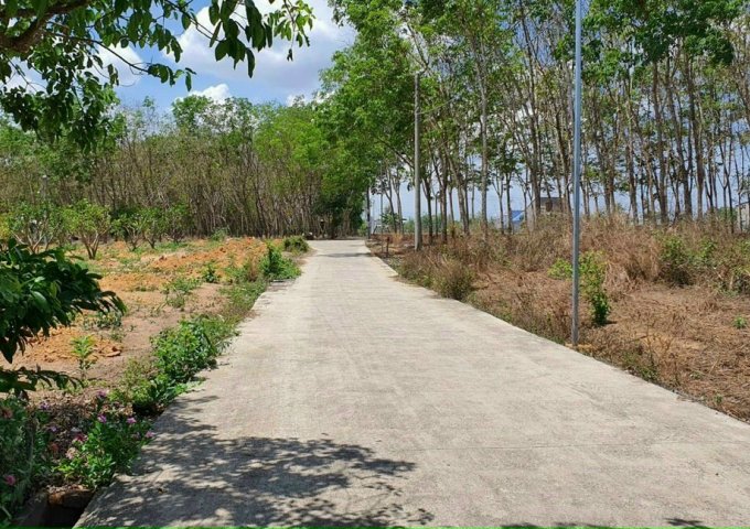 BÁN ĐẤT NỀN DỰ ÁN TÂN LỢI CENTER ĐỒNG PHÚ 1000M2