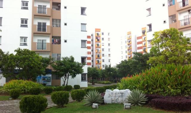 Căn hộ Neshome Đà Nẵng giá mềm 1.3xtỷ, đã có sổ. Dtích 54m2, view sông Hàn và TP đẹp