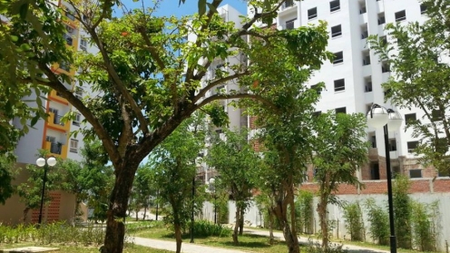 Căn hộ Neshome Đà Nẵng giá mềm 1.3xtỷ, đã có sổ. Dtích 54m2, view sông Hàn và TP đẹp