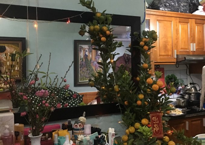 Cần bán gấp căn chung cư mini tầng 1 có gác xép Ngách 65/2 Phố Phúc Xá, Ba Đình, Hà Nội