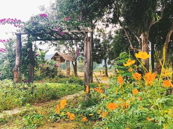 Chính chủ cần bán Lô Đất Farmstay 