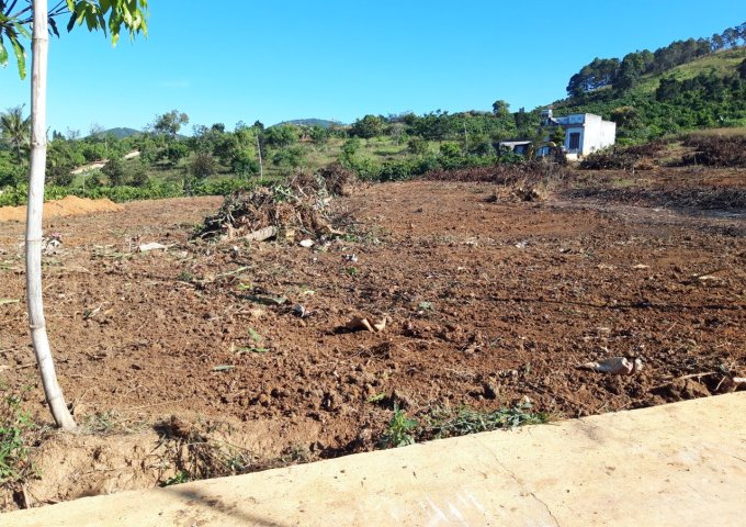 BÁN LÔ ĐẤT VIEW ĐẸP TẠI XÃ ĐÔNG THANH, HUYỆN LÂM HÀ, LÂM ĐỒNG