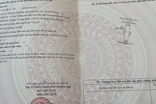 CHÍNH CHỦ CẦN THANH KHOẢN 01 LÔ ĐẤT KHU ĐÔ THỊ TRƯỜNG LINH