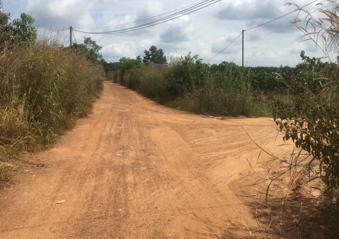 Cần bán lô đất 2400m2 tại Xã Xuân Bắc, Xuân Lộc, Đồng Nai, giá đầu tư