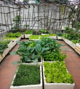 Chính chủ bán nhà riêng tại Phú Đô, Nam Từ Liêm, Hà Nội