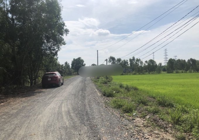 Bán đất đường N2, ngay cầu Kênh Ranh, xã Hoà Khánh Đông, Đức Hòa, Long An.