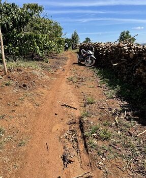 Bán vườn : Bảo Lâm, Lâm Đồng