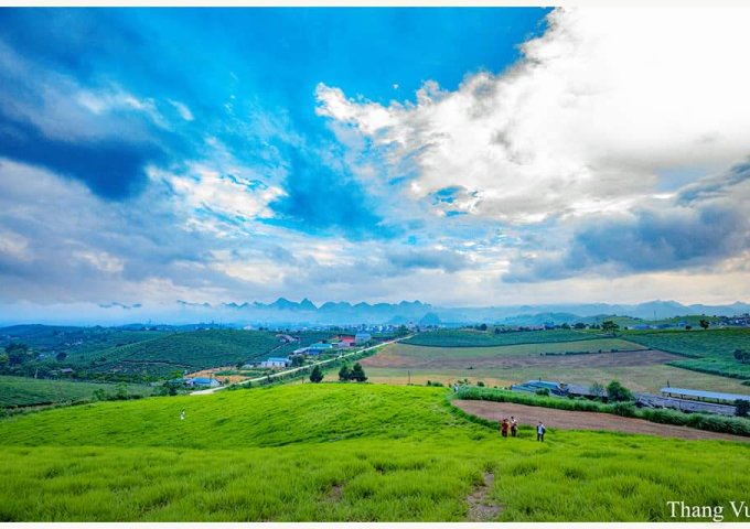 Bán trang trại, khu nghỉ dưỡng tại Xã Phiêng Luông, Mộc Châu,  Sơn La diện tích 20,000m2