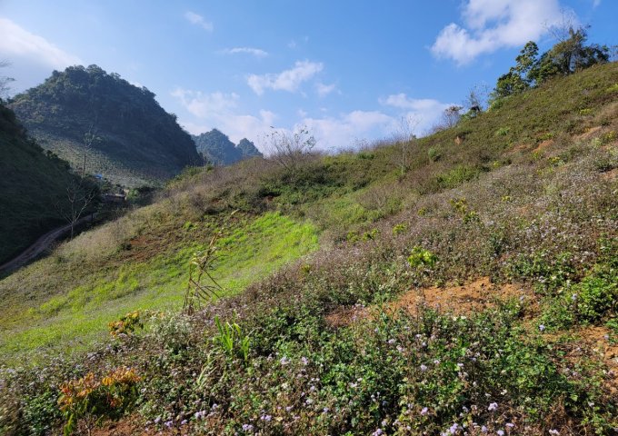 Bán trang trại, khu nghỉ dưỡng tại Xã Phiêng Luông, Mộc Châu,  Sơn La diện tích 20,000m2