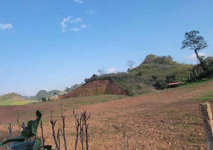 Bán trang trại, khu nghỉ dưỡng tại Xã Phiêng Luông, Mộc Châu,  Sơn La diện tích 20,000m2