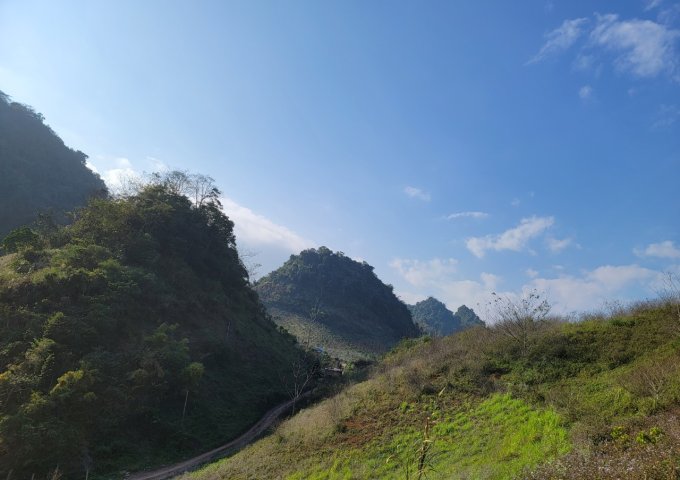 Bán trang trại, khu nghỉ dưỡng tại Xã Phiêng Luông, Mộc Châu,  Sơn La diện tích 20,000m2