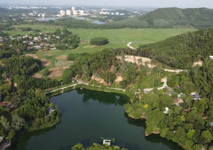 SIÊU PHẨM DUY NHẤT TẠI THUNG LŨNG NGỌC LINH CỦA HUYỆN THẠCH THẤT. HÀ NỘI.