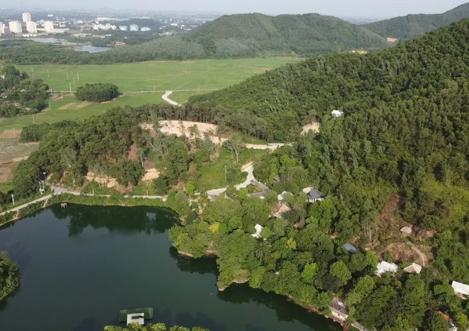 SIÊU PHẨM DUY NHẤT TẠI THUNG LŨNG NGỌC LINH CỦA HUYỆN THẠCH THẤT. HÀ NỘI.