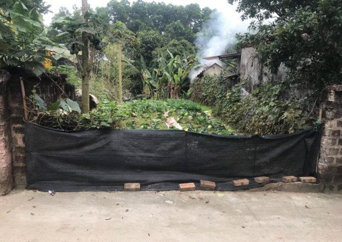 Càn bán đất chính chủ thổ cư ngõ 243 Xuân Khanh, Sơn Tây, Hà Nội.