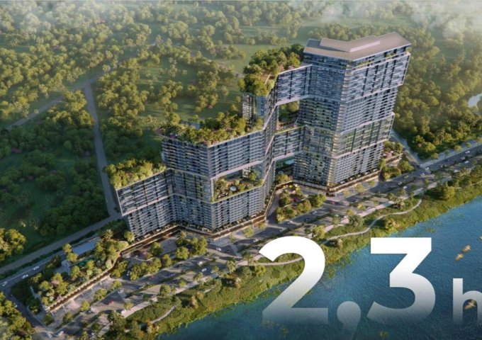 Chính thức mở bán siêu chung cư ecopark Sky Forest ecopark tiêu chuẩn 5 sao