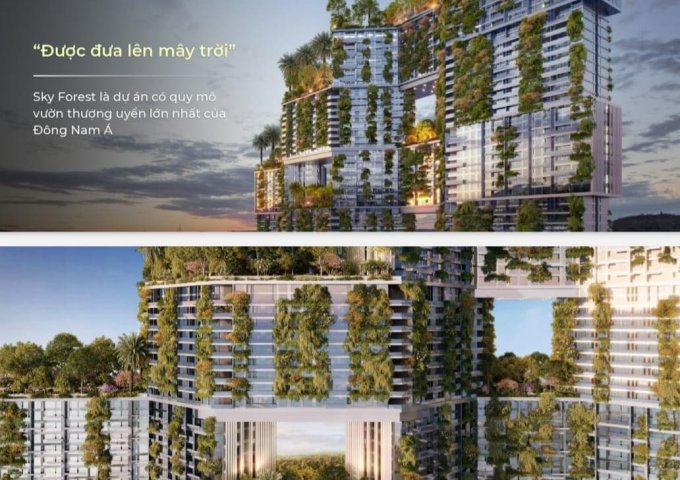 Chính thức mở bán siêu chung cư ecopark Sky Forest ecopark tiêu chuẩn 5 sao