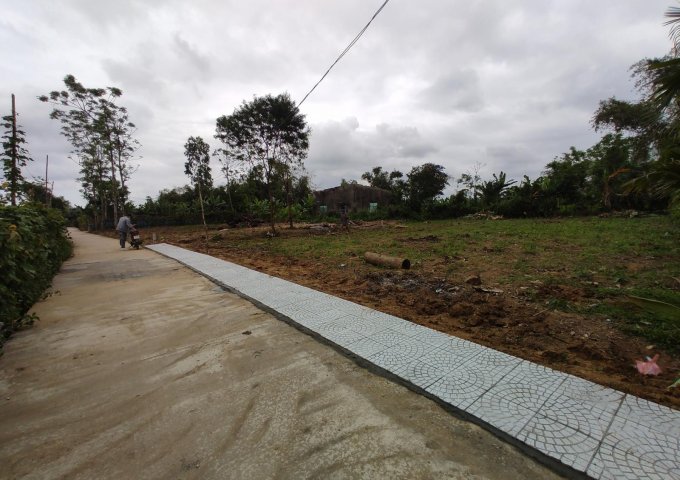 Chủ kẹt tiền bán gấp 235m2 đất Ninh Sở, Thường Tín sổ đỏ chính chủ.