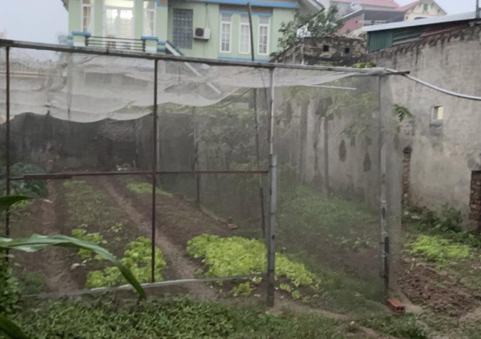 Chính chủ cần bán đất thổ cư Thôn Đoài, xã Kim Nỗ, Đông Anh, Hà Nội