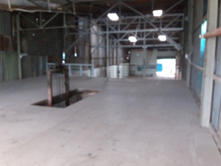 CHO THUÊ KHO XƯỞNG ĐƯỜNG LÔ II, ẤP 7, XÃ LÊ MINH XUÂN, BÌNH CHÁNH