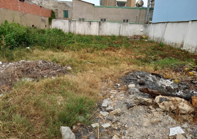 Bán đất tại Đường Linh Trung, Thủ Đức,  Hồ Chí Minh diện tích 246m2