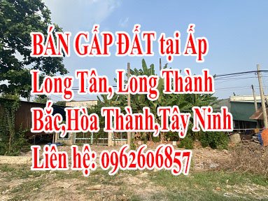 CHÍNH CHỦ BÁN GẤP ĐẤT tại Ấp Long Tân, Xã Long Thành Bắc, Hòa Thành, Tây Ninh.
