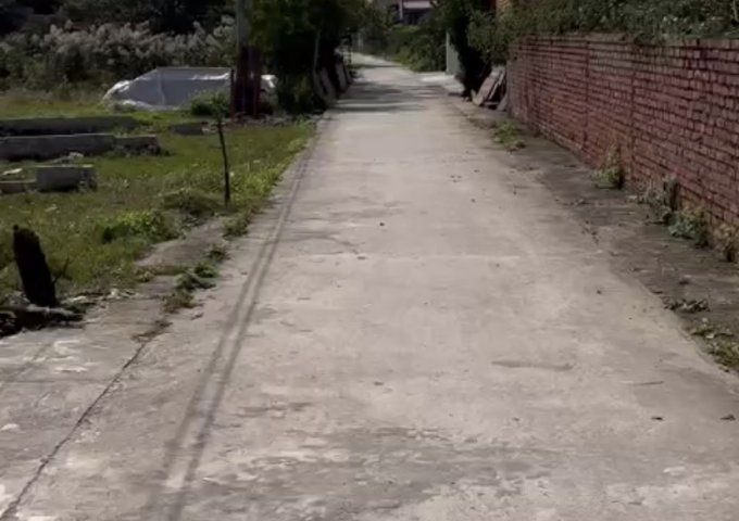 Bán Đất tại TDP Bắc Hải Phường Bàng La Quận Đồ Sơn