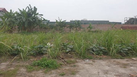 Bán đất tại Ngã Ba An Tràng, thị trấn Trường Sơn, An Lão, Hải Phòng.