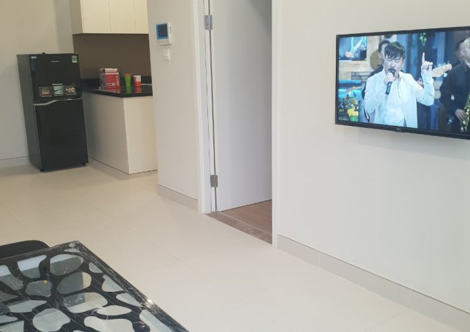 Cho thuê căn hộ chung cư cao cấp Diamond Lotus 49C Lê Quang Kim P8 Q8