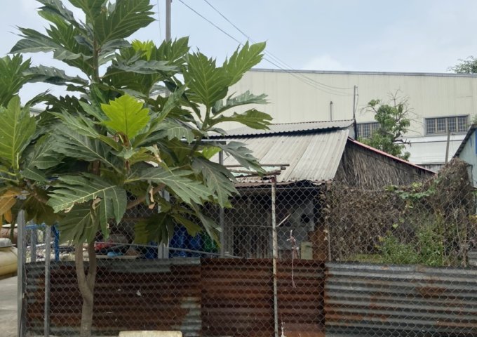 Bán nhà đất dt 840 m2 tọa lạc E3/61 đường Xóm Giữa, ấp 6, xã Tân Nhựt, Huyện Bình Chánh,TpHCM