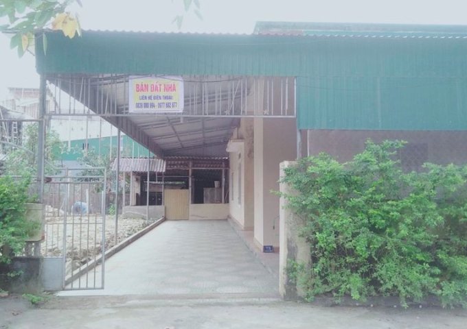 Chính chủ muốn bán đất, tặng nhà. Mặt đường Hà Hoàng, Thạch Trung, t.p Hà Tĩnh.