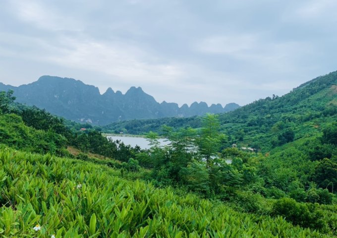 Bán mảnh đất siêu hiếm tại Liên Sơn - Lương Sơn - Hòa Bình, giáp ranh Hà Nội