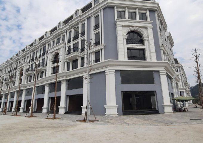 Bán nhà mặt phố tại Đường Quốc lộ 1A, Lạng Sơn,  Lạng Sơn diện tích 84m2  giá 4.2 Tỷ