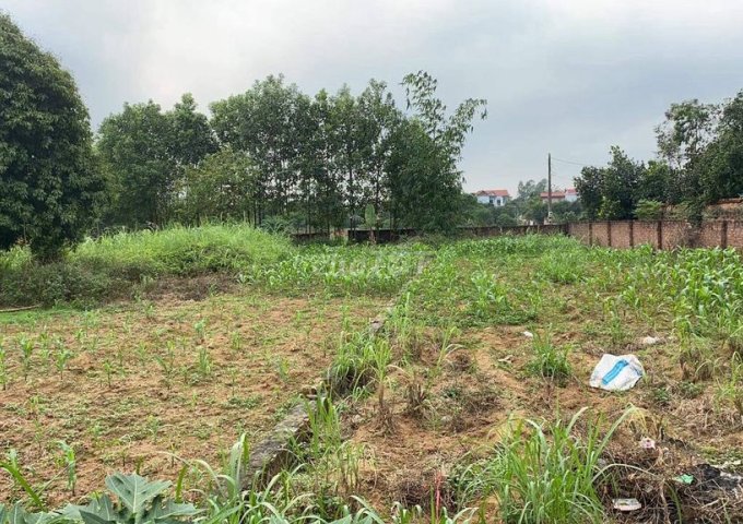 Cần cho thuê 1000m2 đất 2 mặt tiền, vuông vắn đẹp tại Xã Minh Trí, Huyện Sóc Sơn, Hà Nội