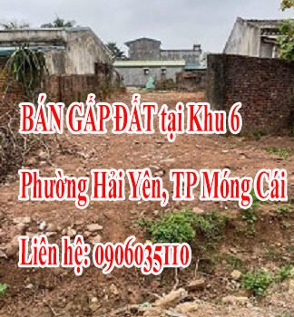 BÁN GẤP ĐẤT tại Khu 6, Phường Hải Yên, TP Móng Cái, Quảng Ninh.