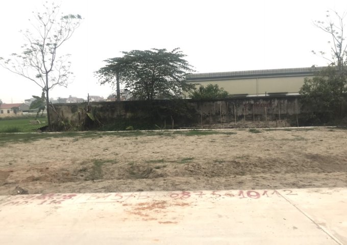 Đất FO tại khu đấu giá Đinh Xá -Nguyệt Đức -Yên Lạc- Vĩnh Phúc