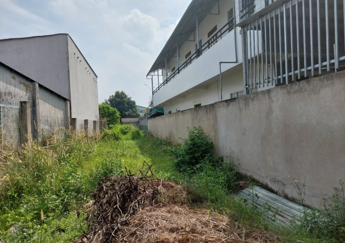 Bán đất thổ cư tại Ấp Dân Thắng 1, Xã Tân Thới Nhì, Hóc Môn, vị trí đẹp, giá tốt