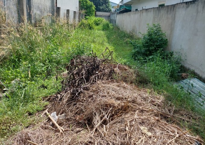 Bán đất thổ cư tại Ấp Dân Thắng 1, Xã Tân Thới Nhì, Hóc Môn, vị trí đẹp, giá tốt