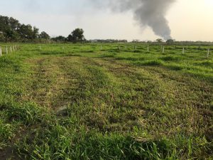 Chính chủ cần bán gấp lô đất vị trí đẹp tại Củ Chi - Tp HCM