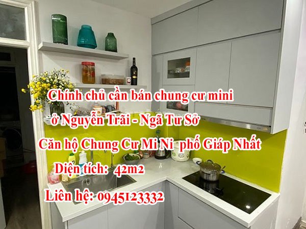 Chính chủ cần bán chung cư mini ở Nguyễn Trãi - Ngã Tư Sở