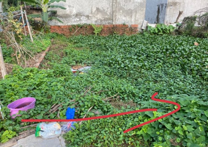 Chính chủ cần bán đất tại ngõ 48a xã Tả Thanh Oai, Thanh Trì, Hà Nội