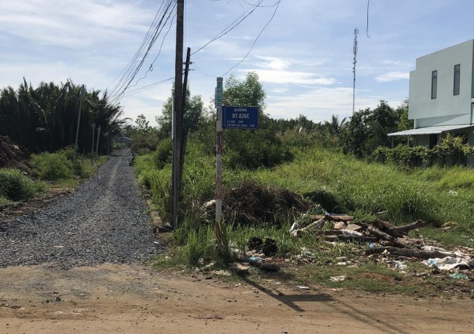 Bán đất tại Xã Phước Lại, Cần Giuộc,  Long An diện tích 327m2