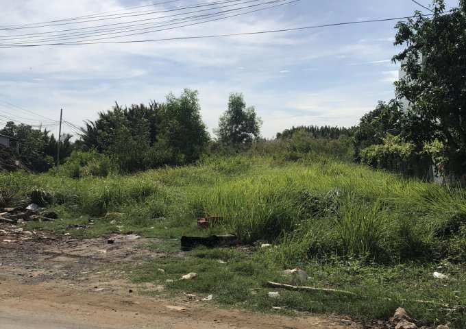 Bán đất tại Xã Phước Lại, Cần Giuộc,  Long An diện tích 327m2