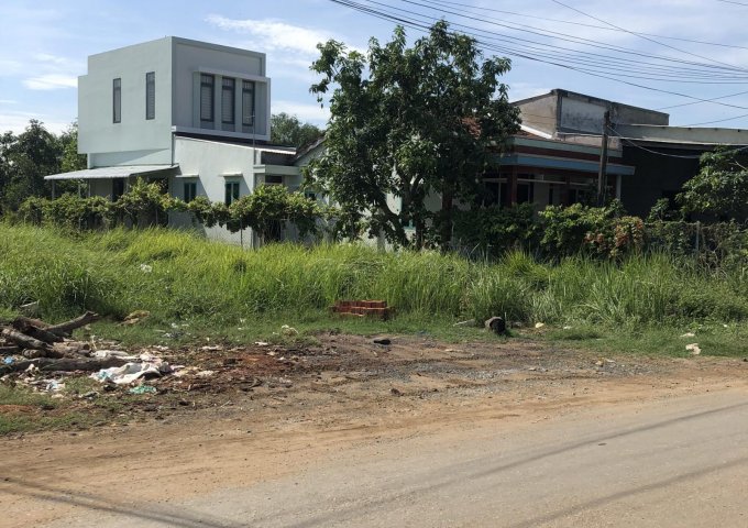 Bán đất tại Xã Phước Lại, Cần Giuộc,  Long An diện tích 327m2