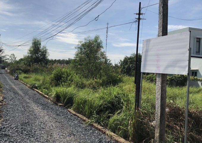 Bán đất tại Xã Phước Lại, Cần Giuộc,  Long An diện tích 327m2