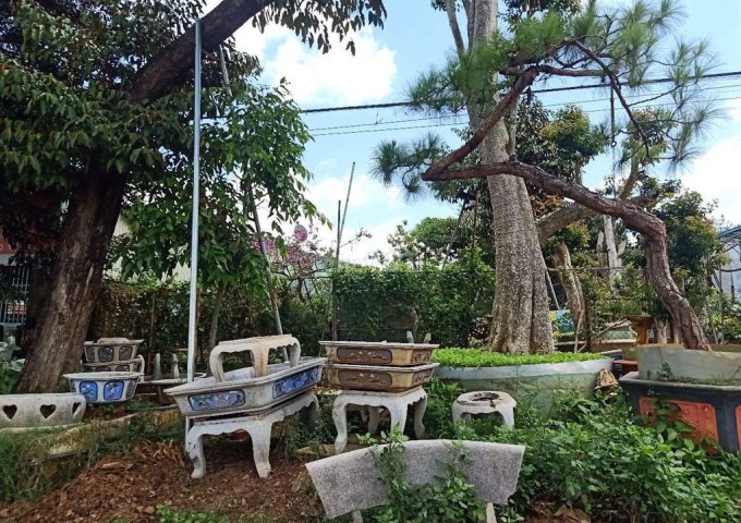 Cần bán đất Võ Văn Kiệt, Phường Yên Thế, Thành phố Pleiku, Tỉnh Gia Lai