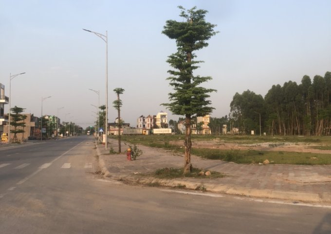 Bán đất tại Đường Tỉnh Lộ 292, Lạng Giang,  Bắc Giang diện tích 85m2