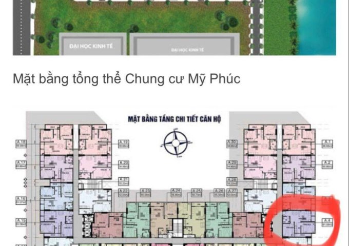 Chính chủ cần bán nhanh chung cư Heaven Riverview