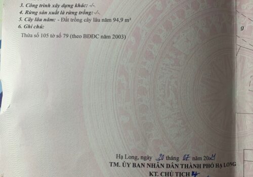 CHÍNH CHỦ CẦN BÁN GẤP LÔ GÓC 02 MẶT TIỀN TRỤC CHÍNH ĐƯỜNG YÊN CƯ - THÀNH PHỐ HẠ LONG