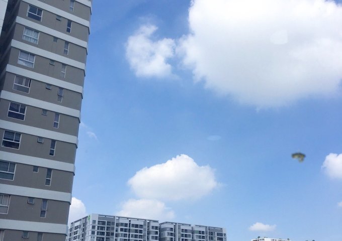 HOT! Bán căn góc Officetel Orchard Garden 32m2 – Full NT – View Hồ bơi cực đẹp giá chỉ 2.1 tỷ