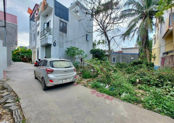 Bán lô đất ngõ 52 Cát Khê , Tràng Cát , Hải An, Hải Phòng 